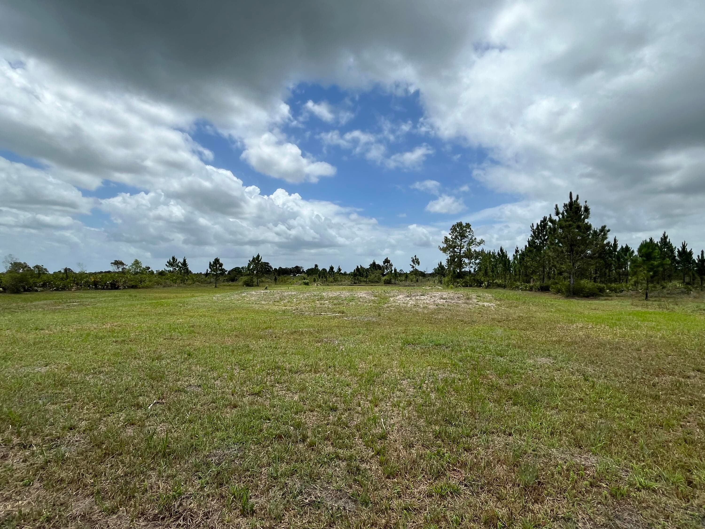 19092 NW 250th Street, Okeechobee, FL 34972 — photo 7 of 11