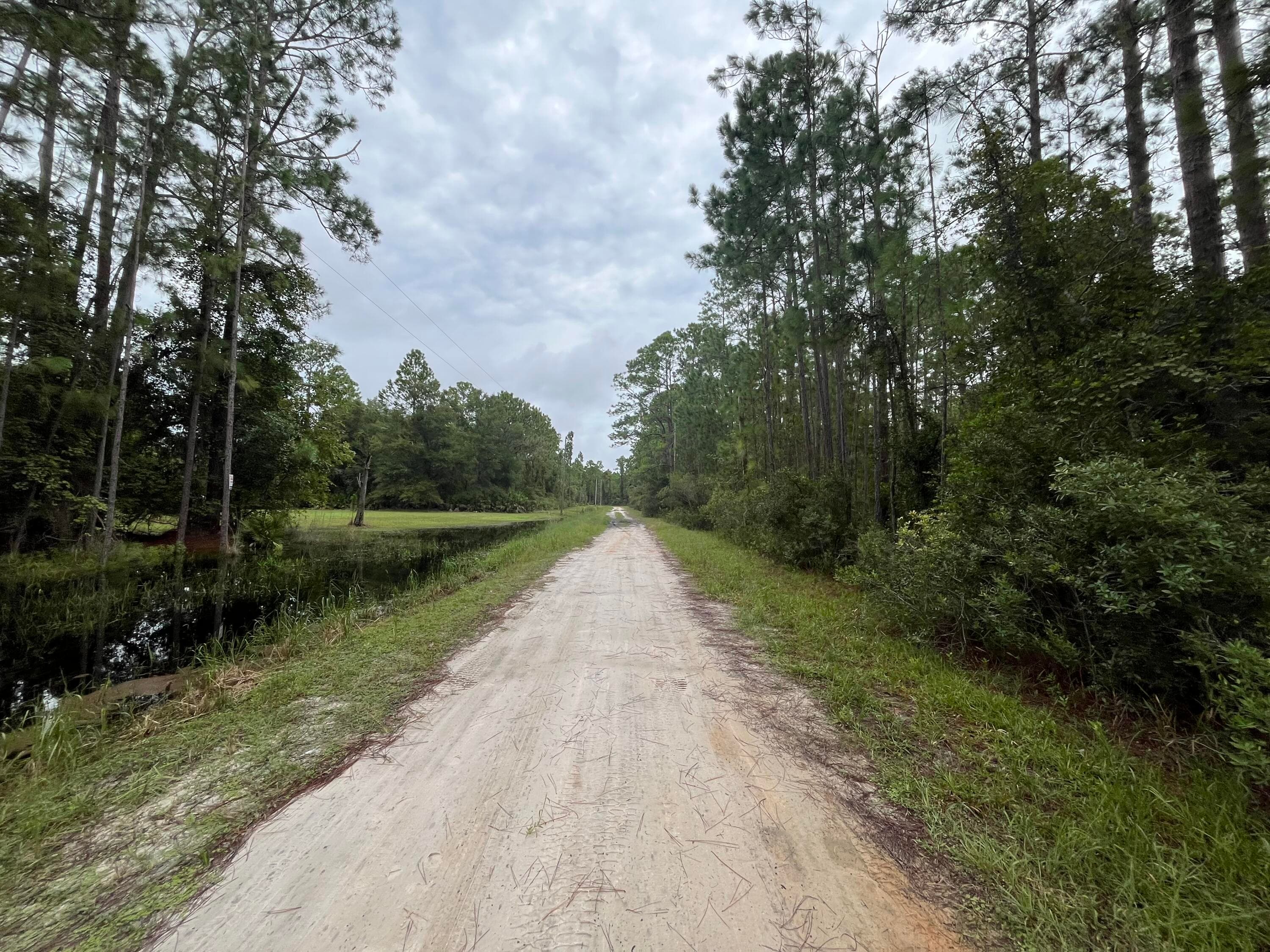 117 Mosswood Street, Georgetown, FL 32139 — photo 5 of 8