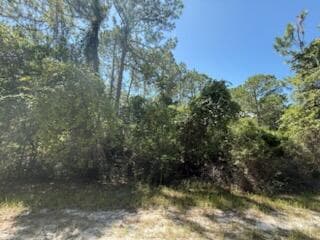 337 Palm Way, Georgetown, FL 32139 — photo
