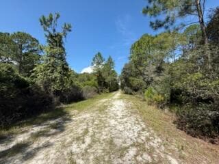 337 Palm Way, Georgetown, FL 32139 — photo 5 of 8