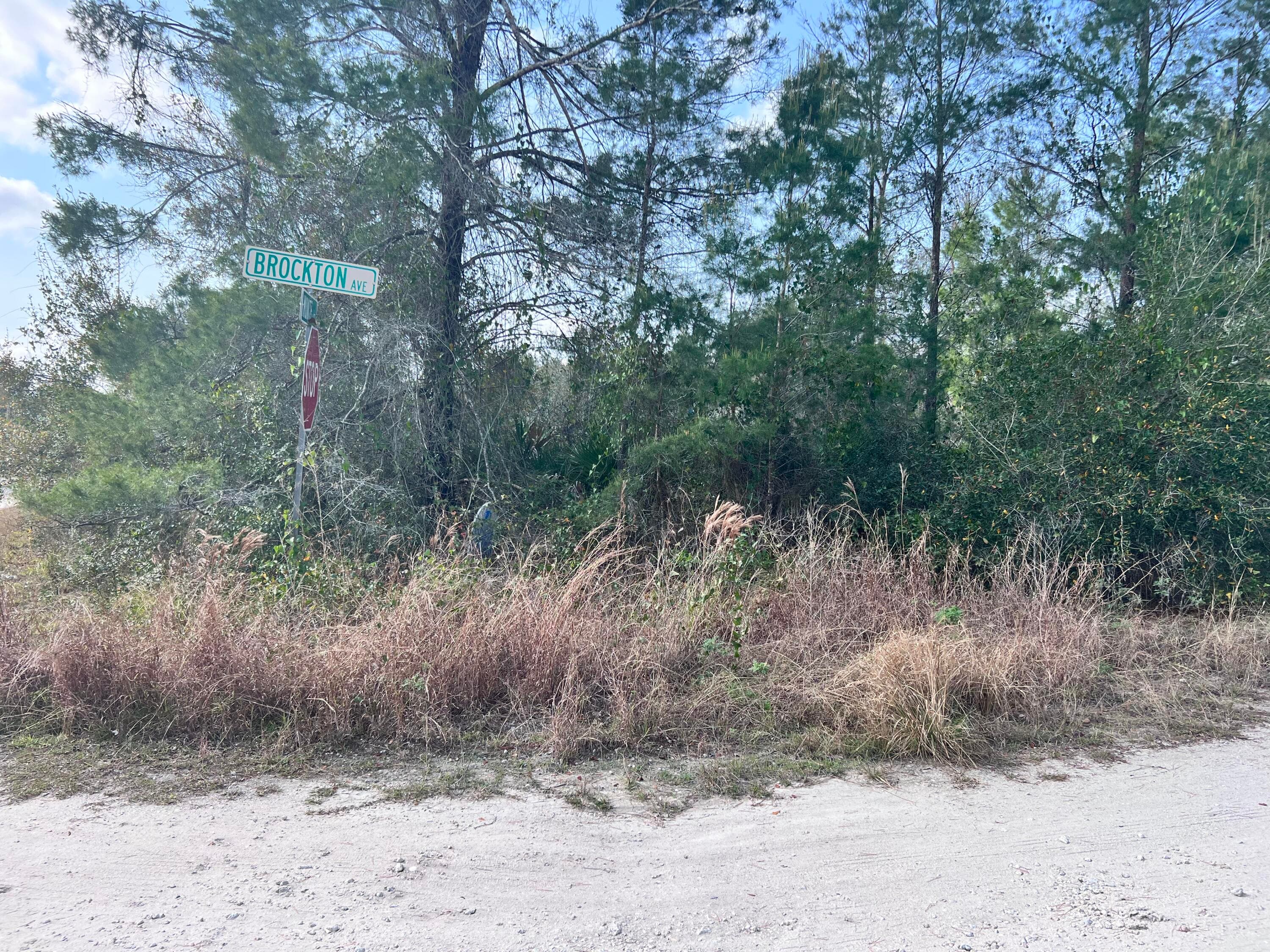 4847 Brockton Avenue, Sebring, FL 33875 — photo 1 of 6