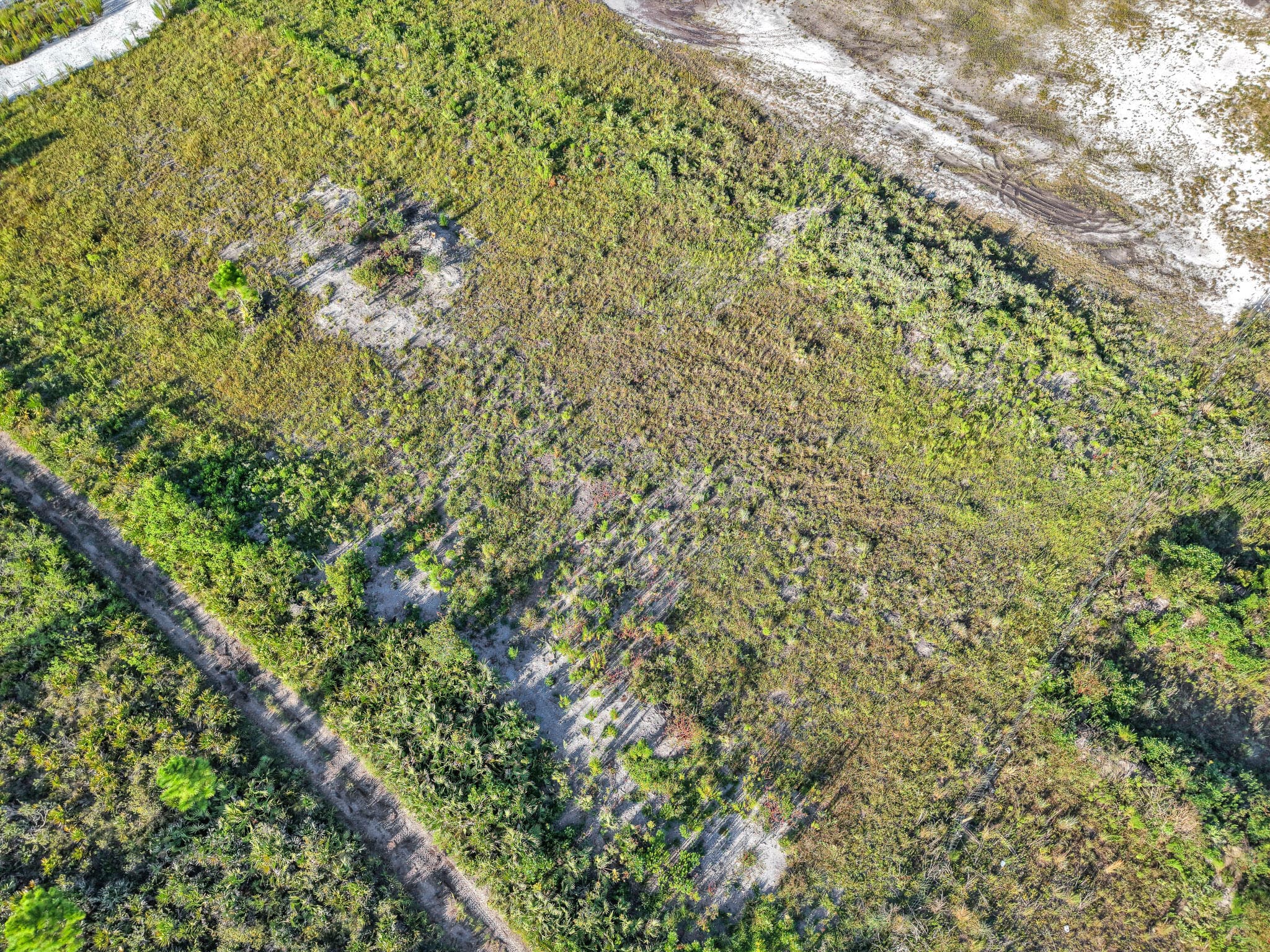 22184 NW 278th Street, Okeechobee, FL 34972 — photo 7 of 20