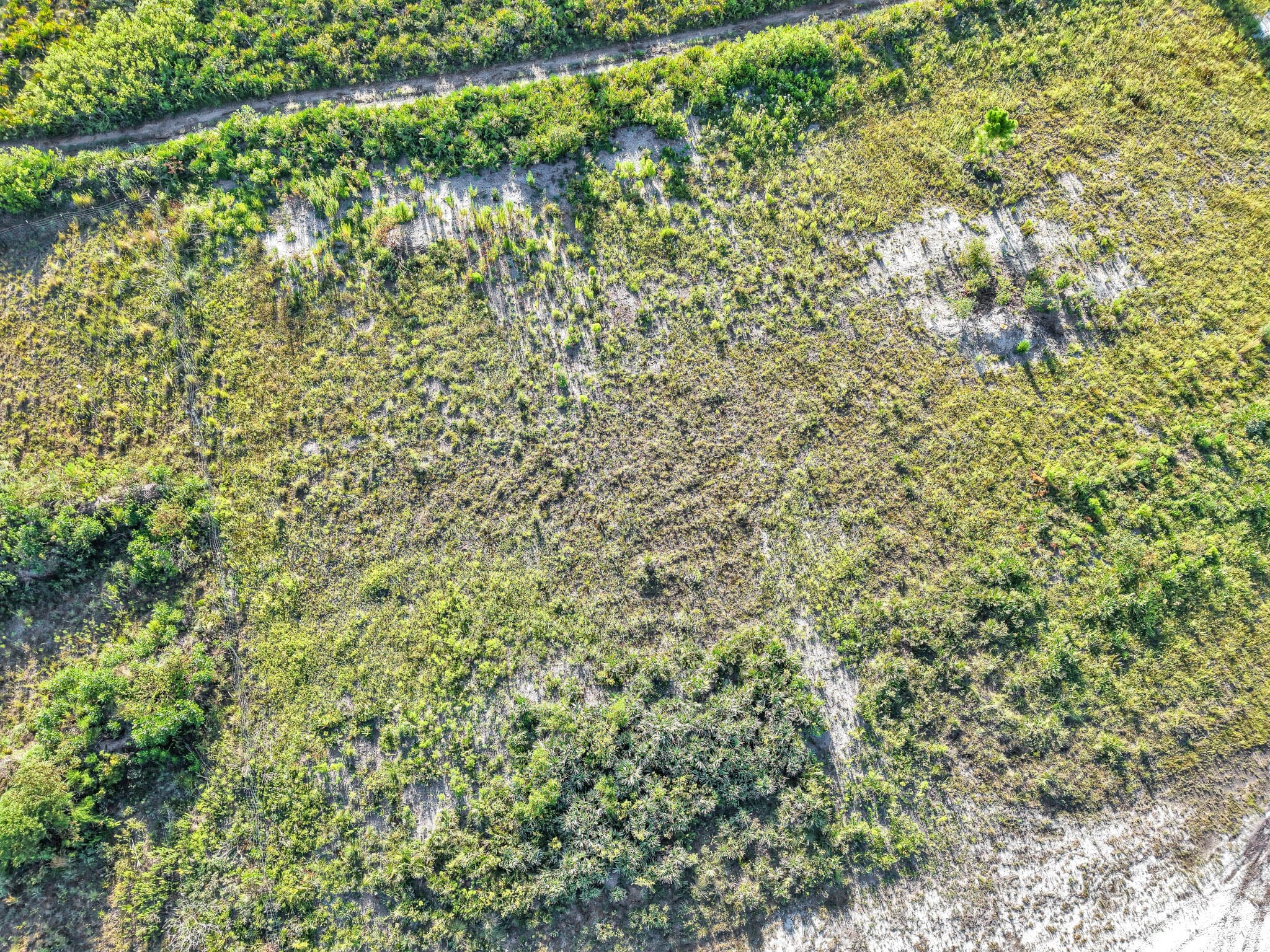22184 NW 278th Street, Okeechobee, FL 34972 — photo 10 of 20