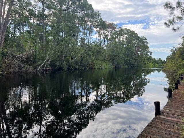 1137 Greenfield Street, Lake Placid, FL 33852 — photo 14 of 22