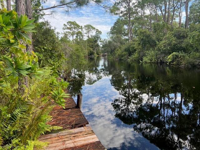 1137 Greenfield Street, Lake Placid, FL 33852 — photo 17 of 22