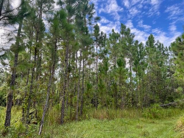 1135 Greenfield Street, Lake Placid, FL 33852 — photo 6 of 17
