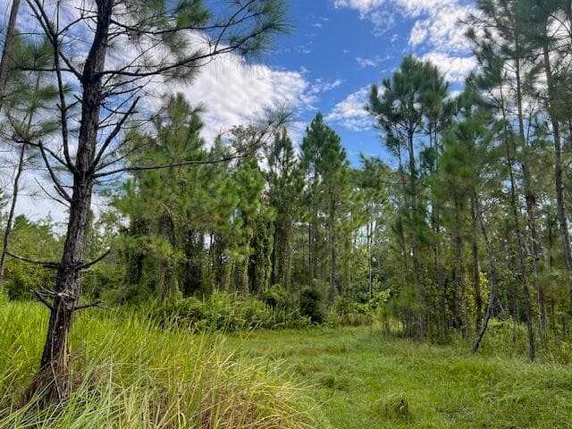 1135 Greenfield Street, Lake Placid, FL 33852 — photo 10 of 17