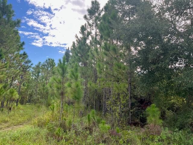 1135 Greenfield Street, Lake Placid, FL 33852 — photo 12 of 17