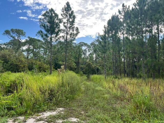 1135 Greenfield Street, Lake Placid, FL 33852 — photo 14 of 17