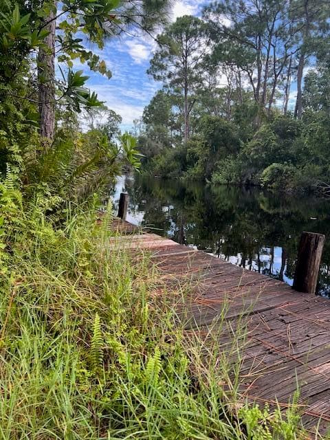 1135 Greenfield Street, Lake Placid, FL 33852 — photo 5 of 17