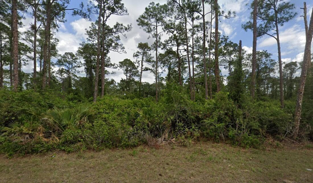 2018 Canton Avenue, Alva, FL 33920 — photo 2 of 7