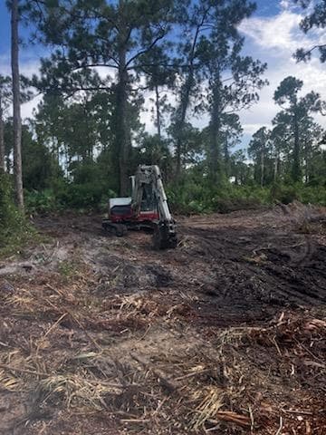 2018 Canton Avenue, Alva, FL 33920 — photo 7 of 7