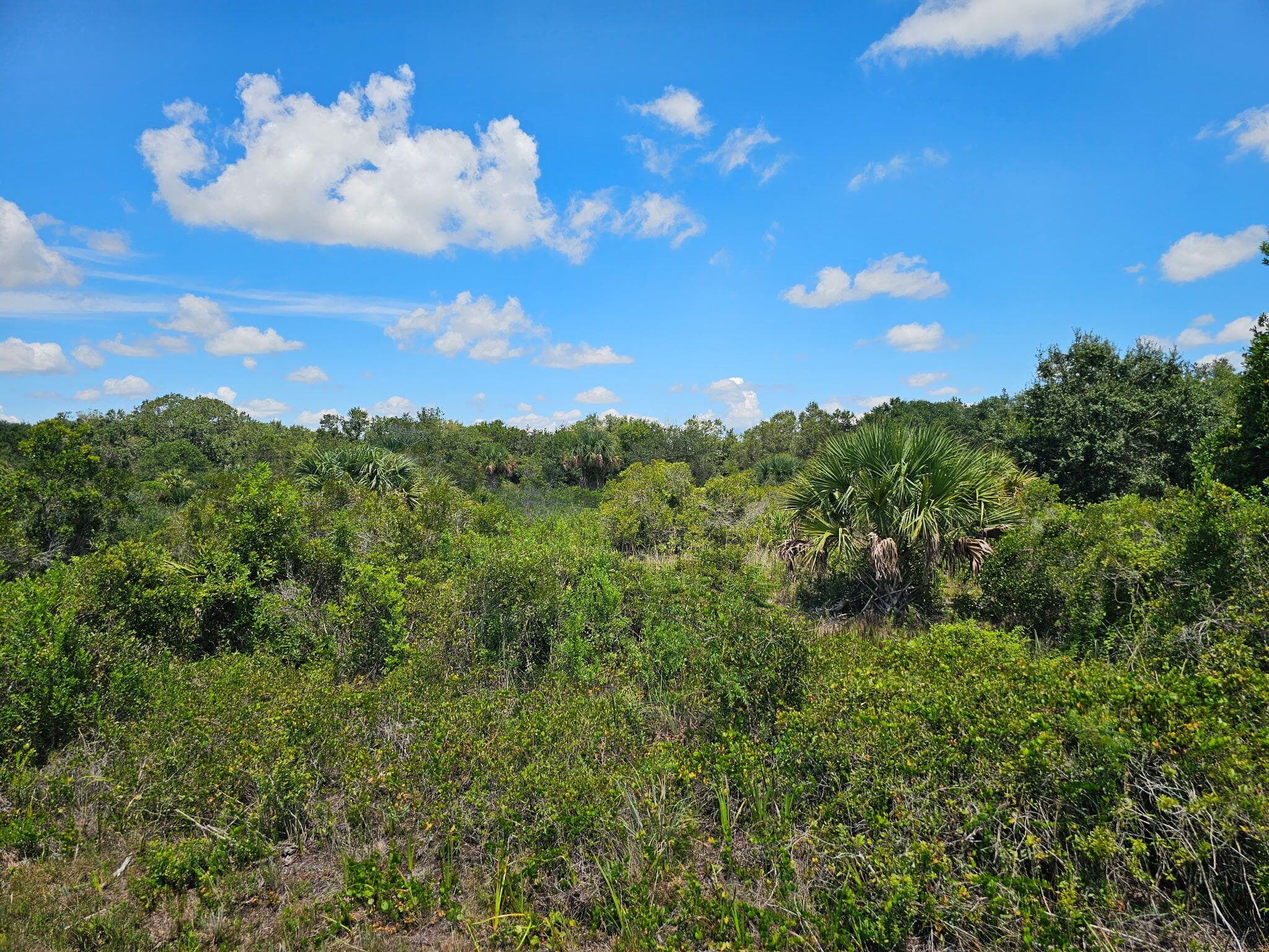 16431 NW 270th Street, Okeechobee, FL 34972 — photo 6 of 7