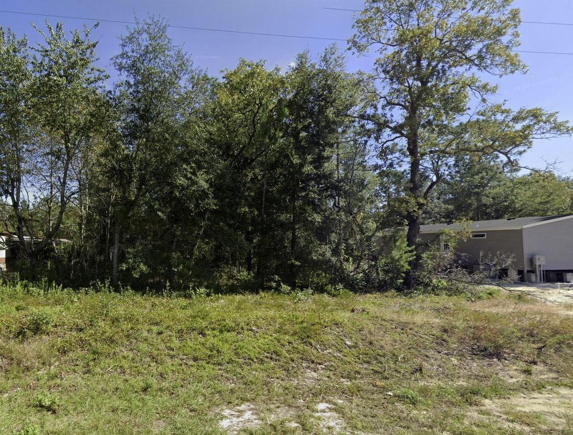 Tbd Dawn Avenue, Interlachen, FL 32148 — photo 3 of 7
