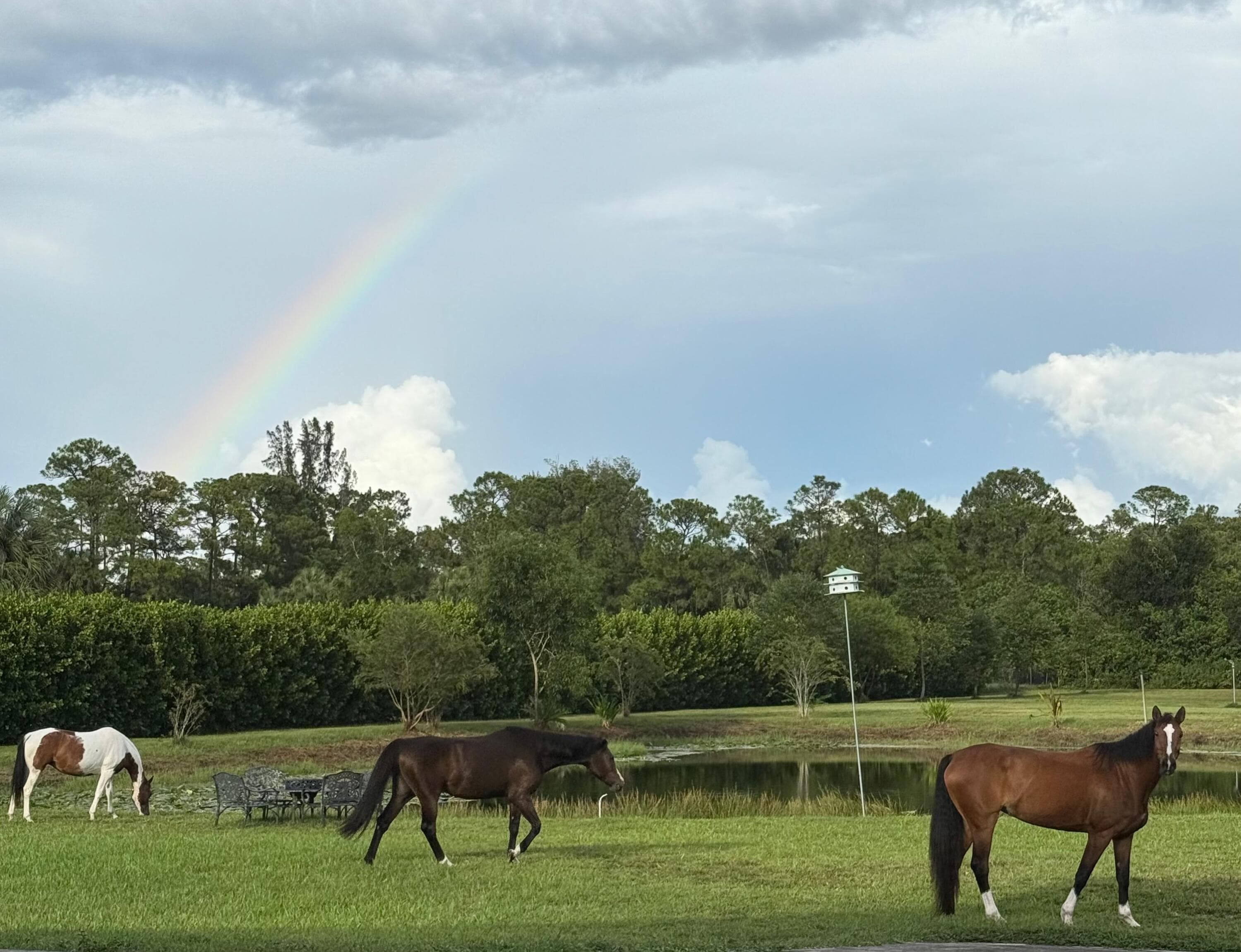 2770 E Road, Loxahatchee Groves, FL 33470 — photo 17 of 51