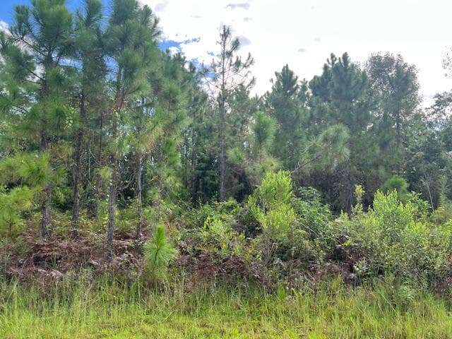 1131 Greenfield Street, Lake Placid, FL 33852 — photo 9 of 13
