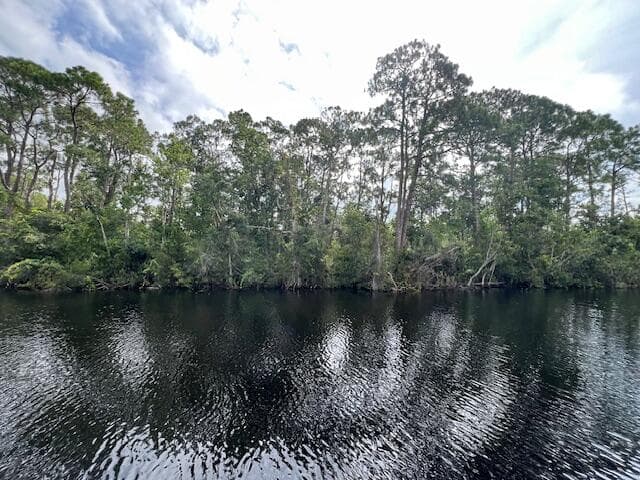 1131 Greenfield Street, Lake Placid, FL 33852 — photo 6 of 13