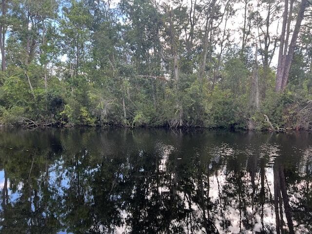 1131 Greenfield Street, Lake Placid, FL 33852 — photo 2 of 13
