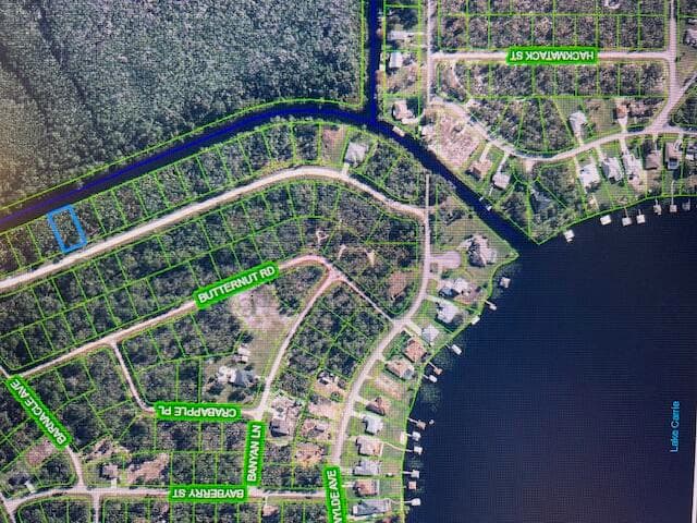 1131 Greenfield Street, Lake Placid, FL 33852 — photo 3 of 13