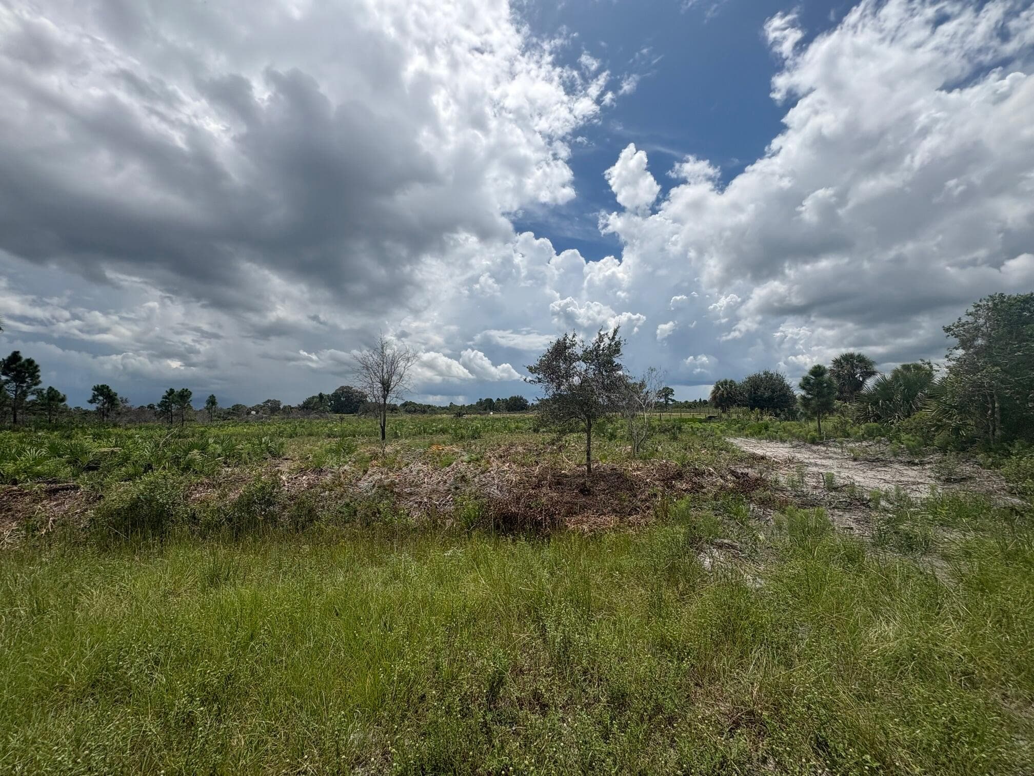 17982 NW 318th Street, Okeechobee, FL 34972 — photo 8 of 8