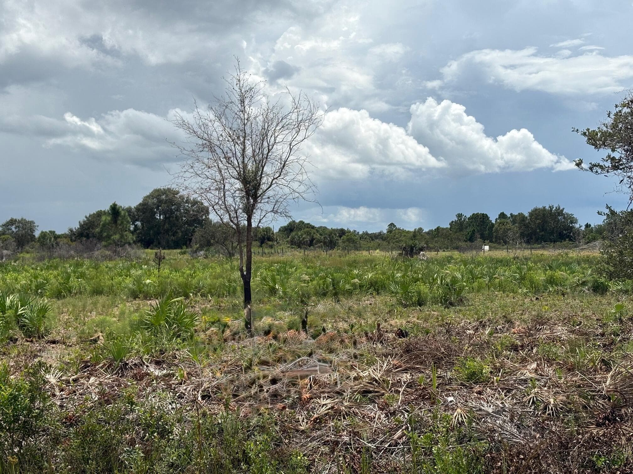 17982 NW 318th Street, Okeechobee, FL 34972 — photo 1 of 8