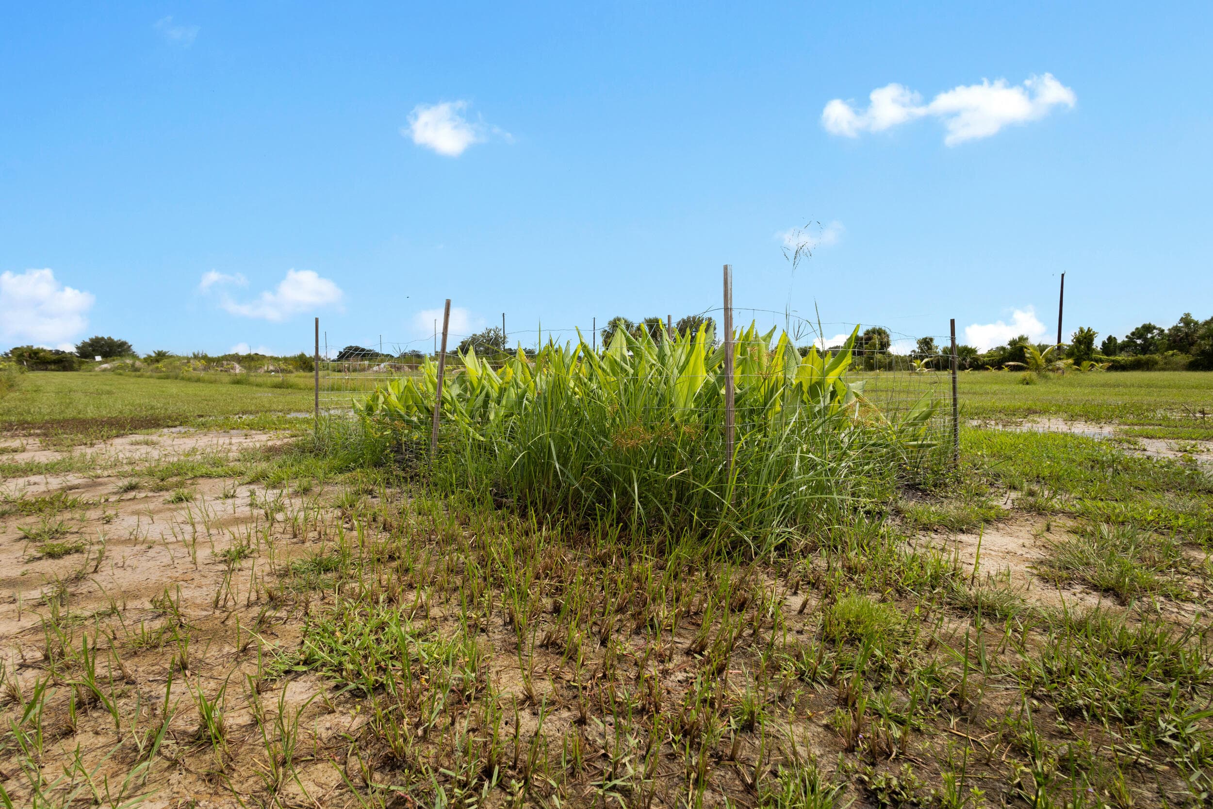 20914 NW 280th Street, Okeechobee, FL 34972 — photo 9 of 47
