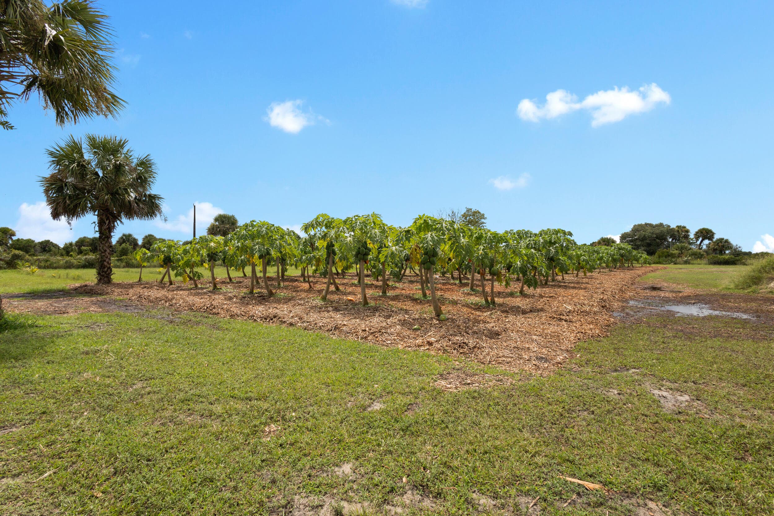 20914 NW 280th Street, Okeechobee, FL 34972 — photo 22 of 47