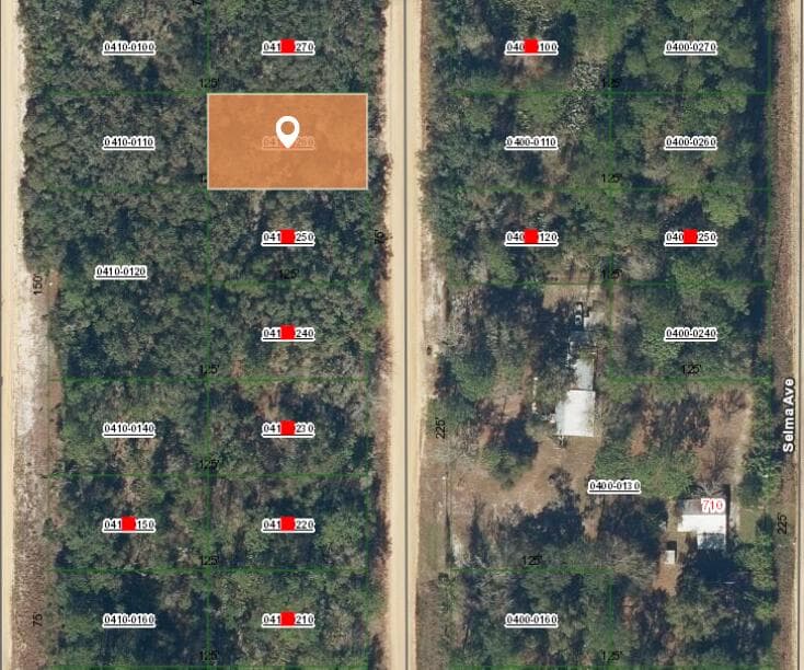 009 Creager Avenue, Interlachen, FL 32148 — photo 2 of 3