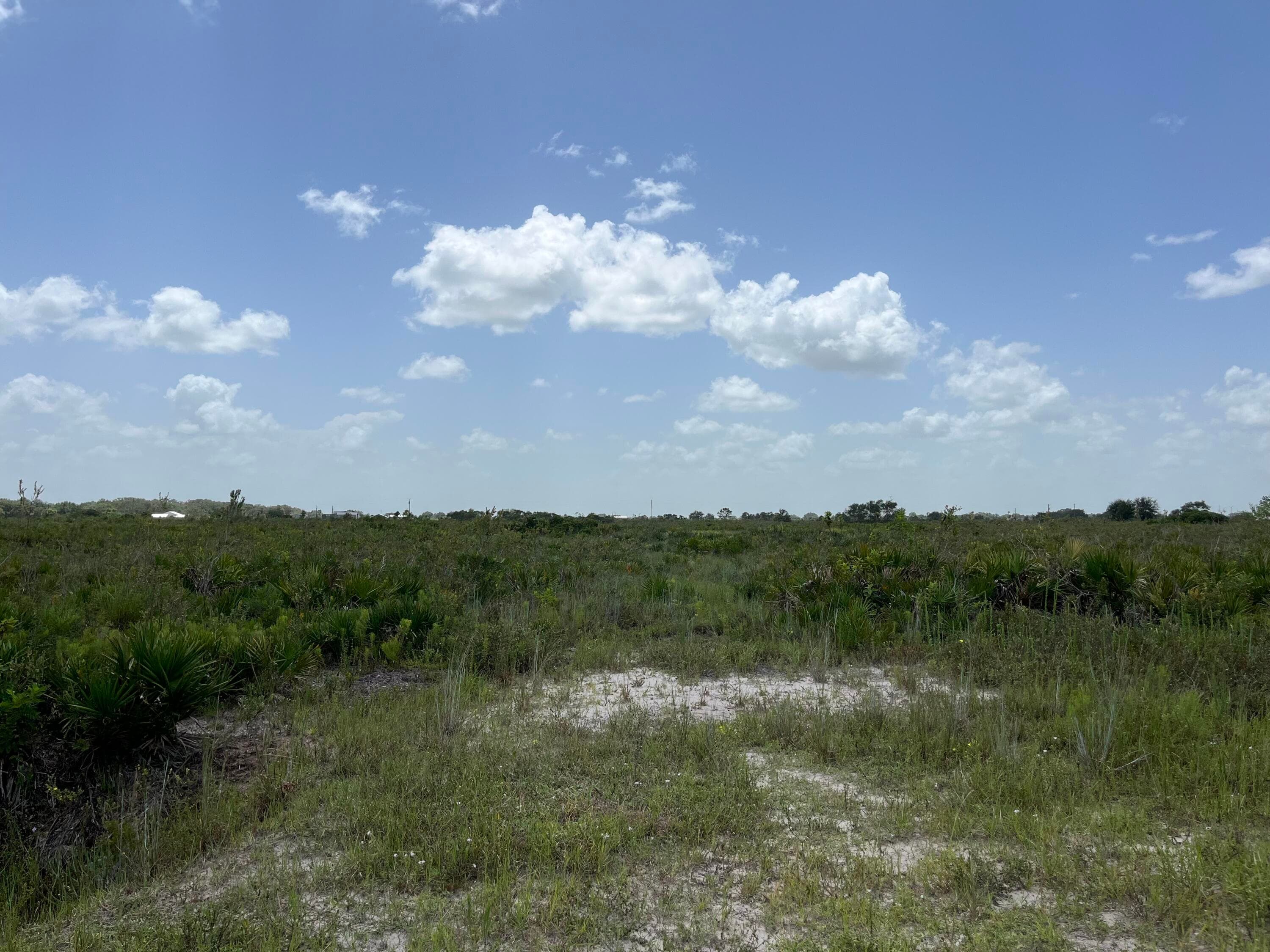 20106 NW 254th Street, Okeechobee, FL 34972 — photo 5 of 9
