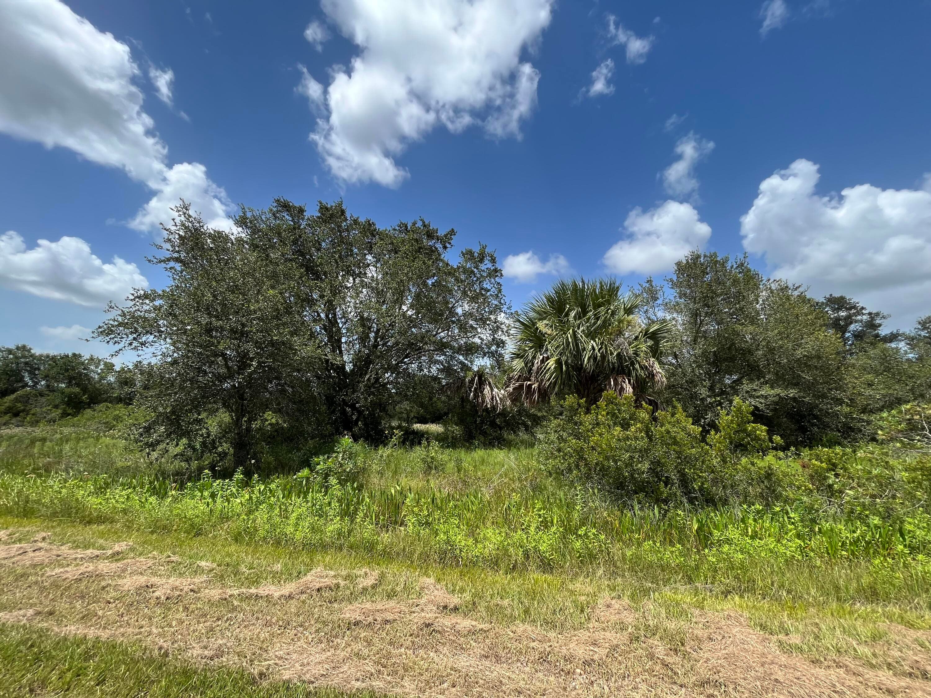 17915 NW 290th Street, Okeechobee, FL 34972 — photo 6 of 16