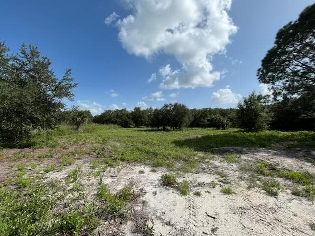 15134 NW 306th Street, Okeechobee, FL 34972 — photo 6 of 20