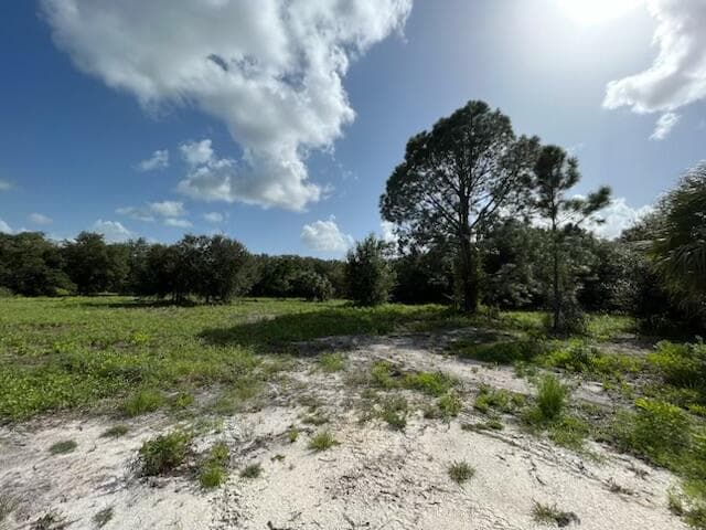 15134 NW 306th Street, Okeechobee, FL 34972 — photo 7 of 20