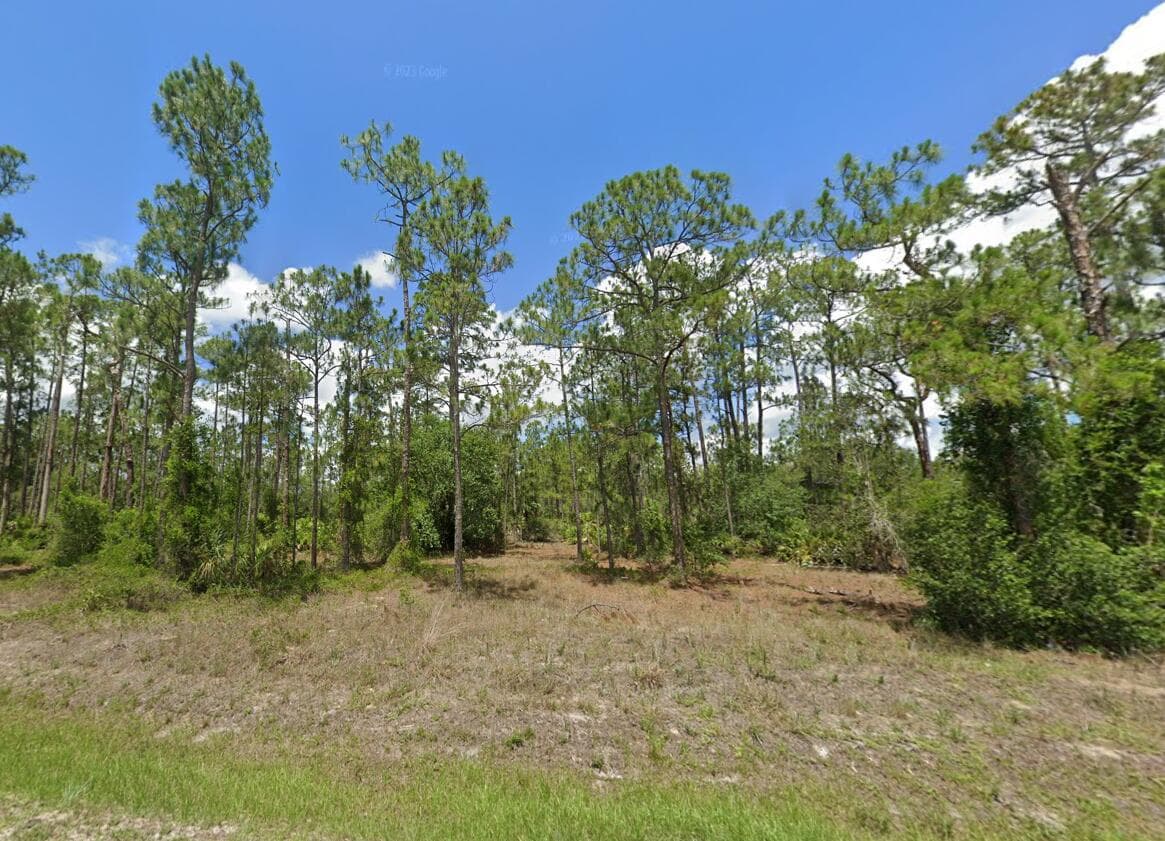 1223 Richmond Avenue N, Lehigh Acres, FL 33972 — photo 1 of 1