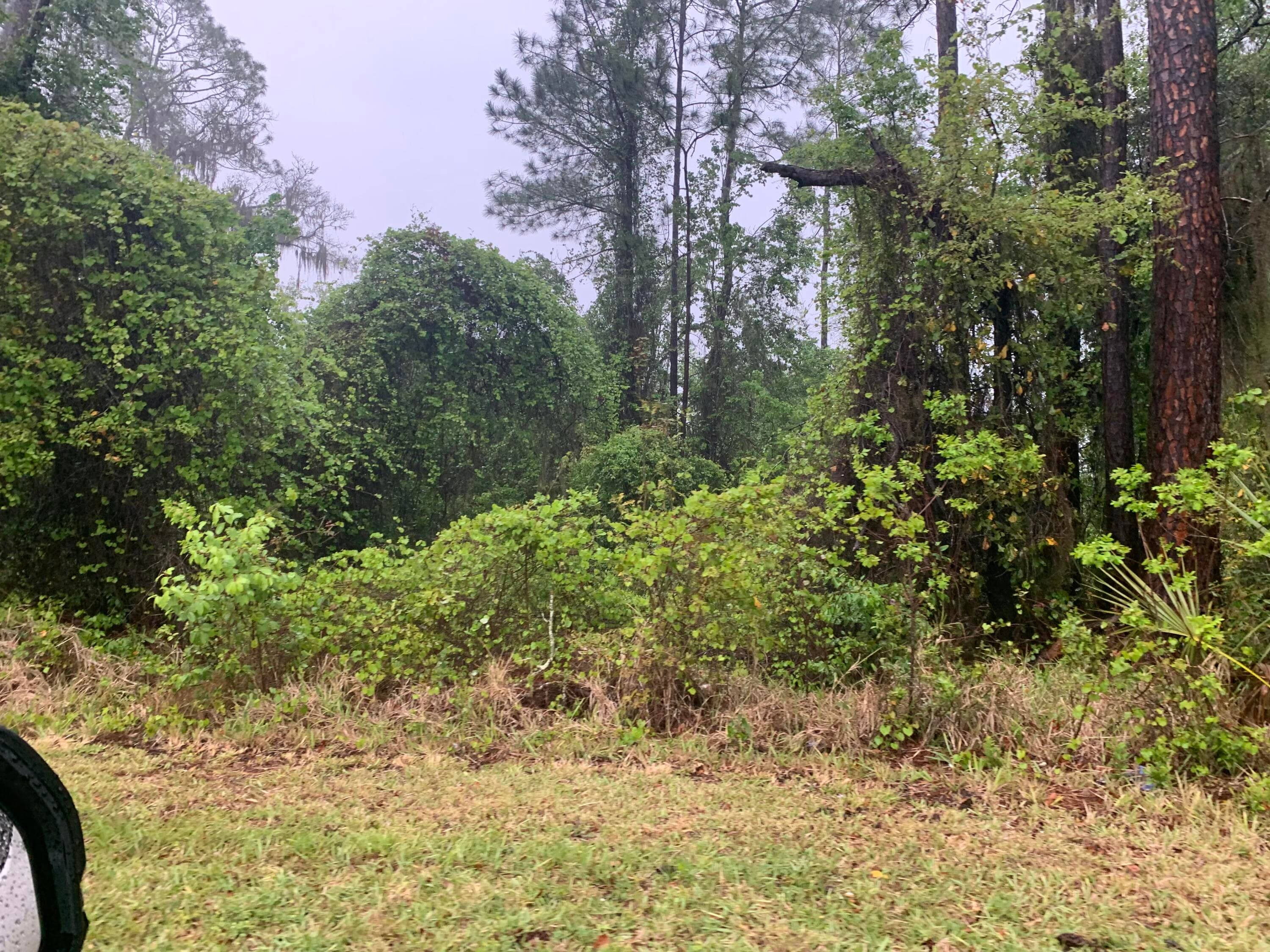 0 SE Unassigned Location Re Avenue, Gainesville, FL 32641 — photo 5 of 5