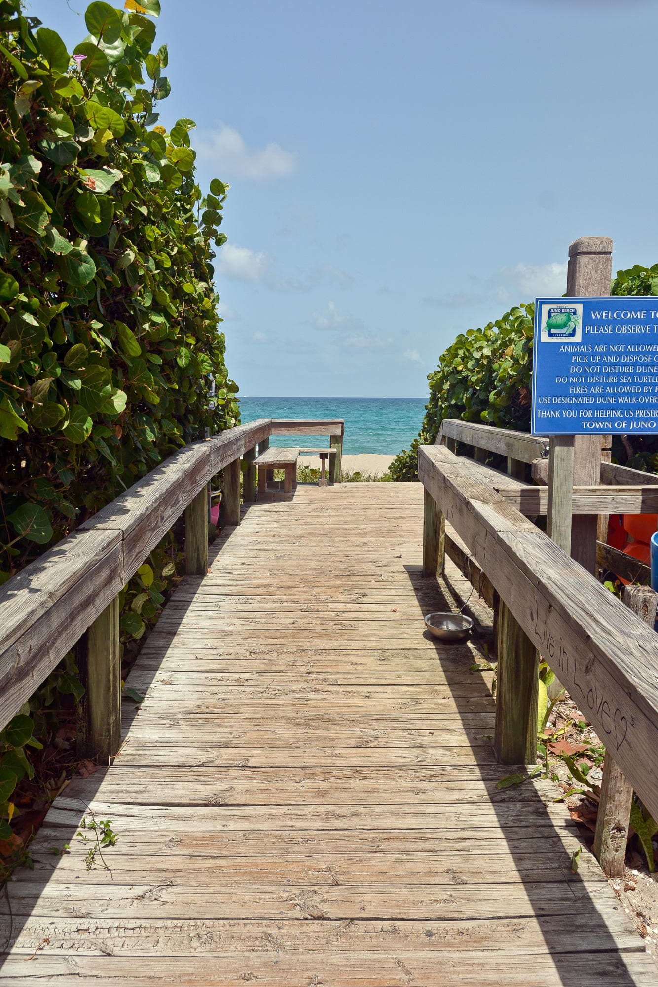 50 Celestial Way 8e, Juno Beach, FL 33408 — photo 46 of 75
