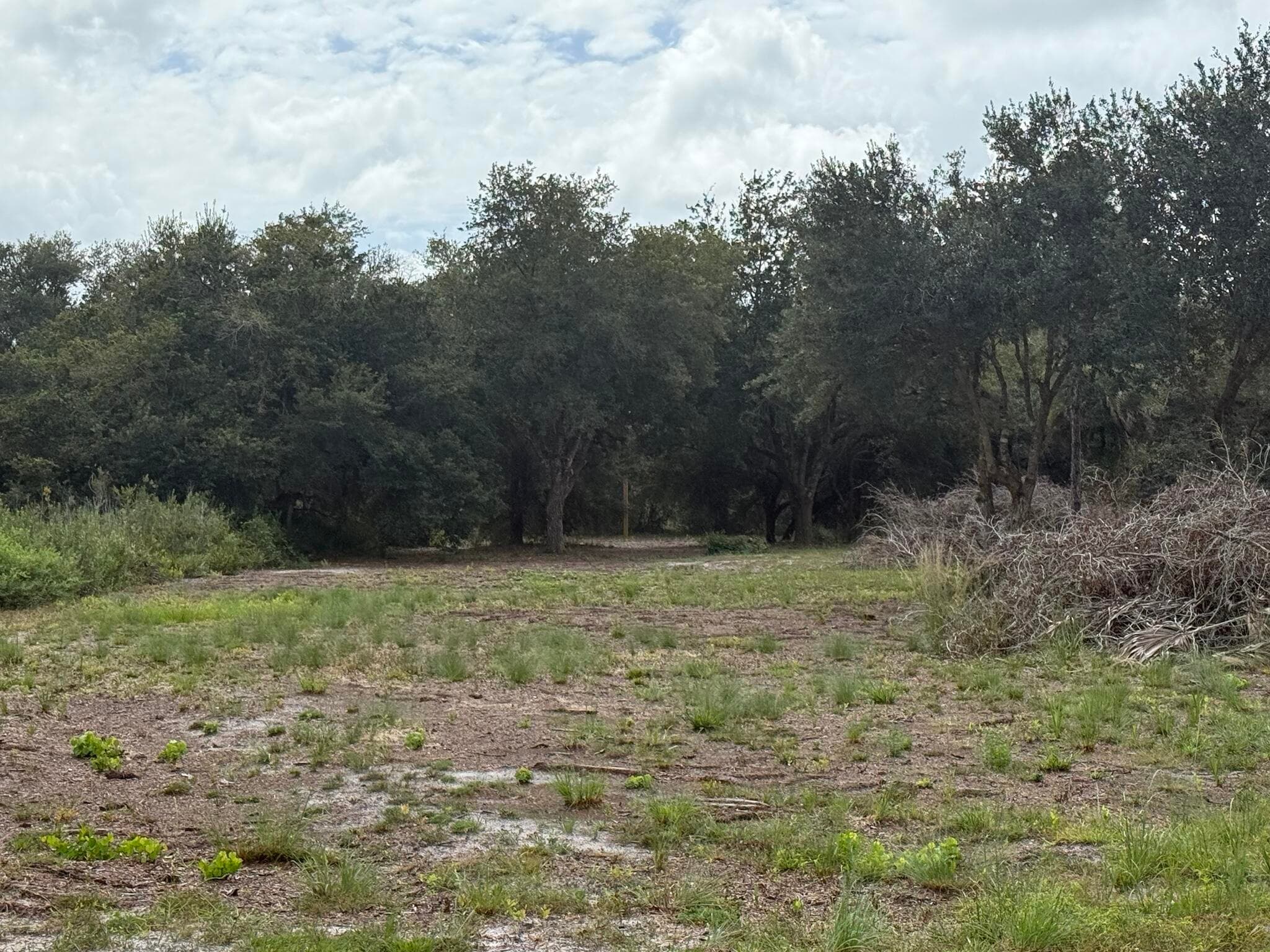 15134 NW 306th Street, Okeechobee, FL 34972 — photo 15 of 20
