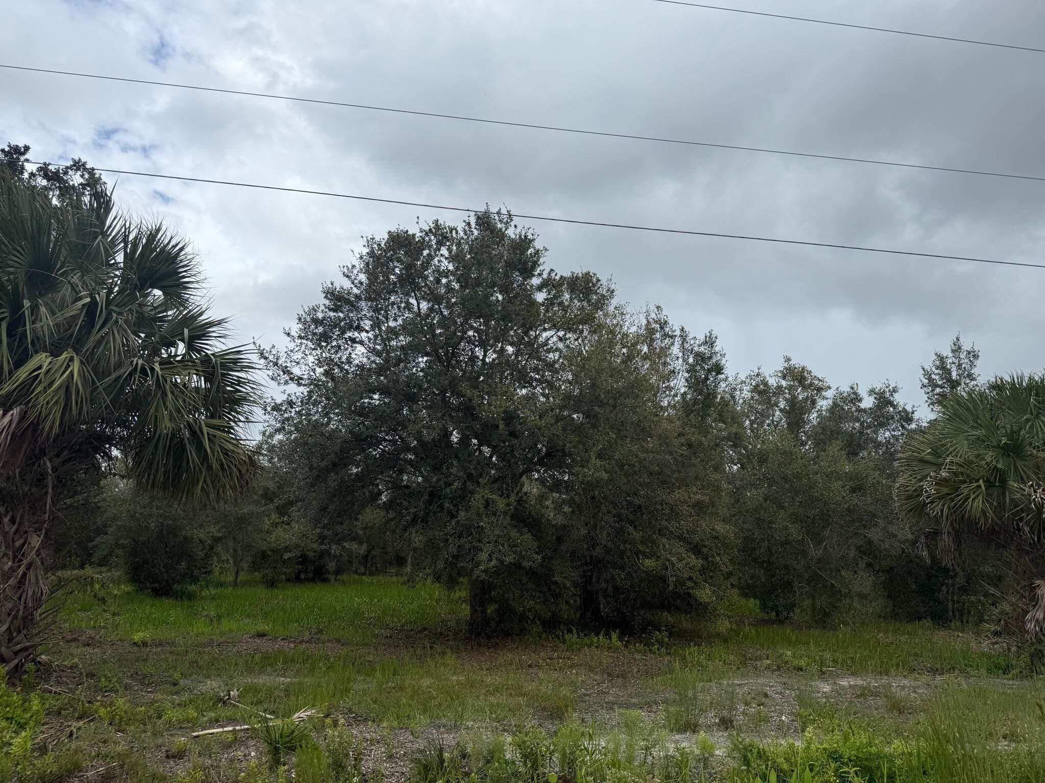 17915 NW 290th Street, Okeechobee, FL 34972 — photo 12 of 16
