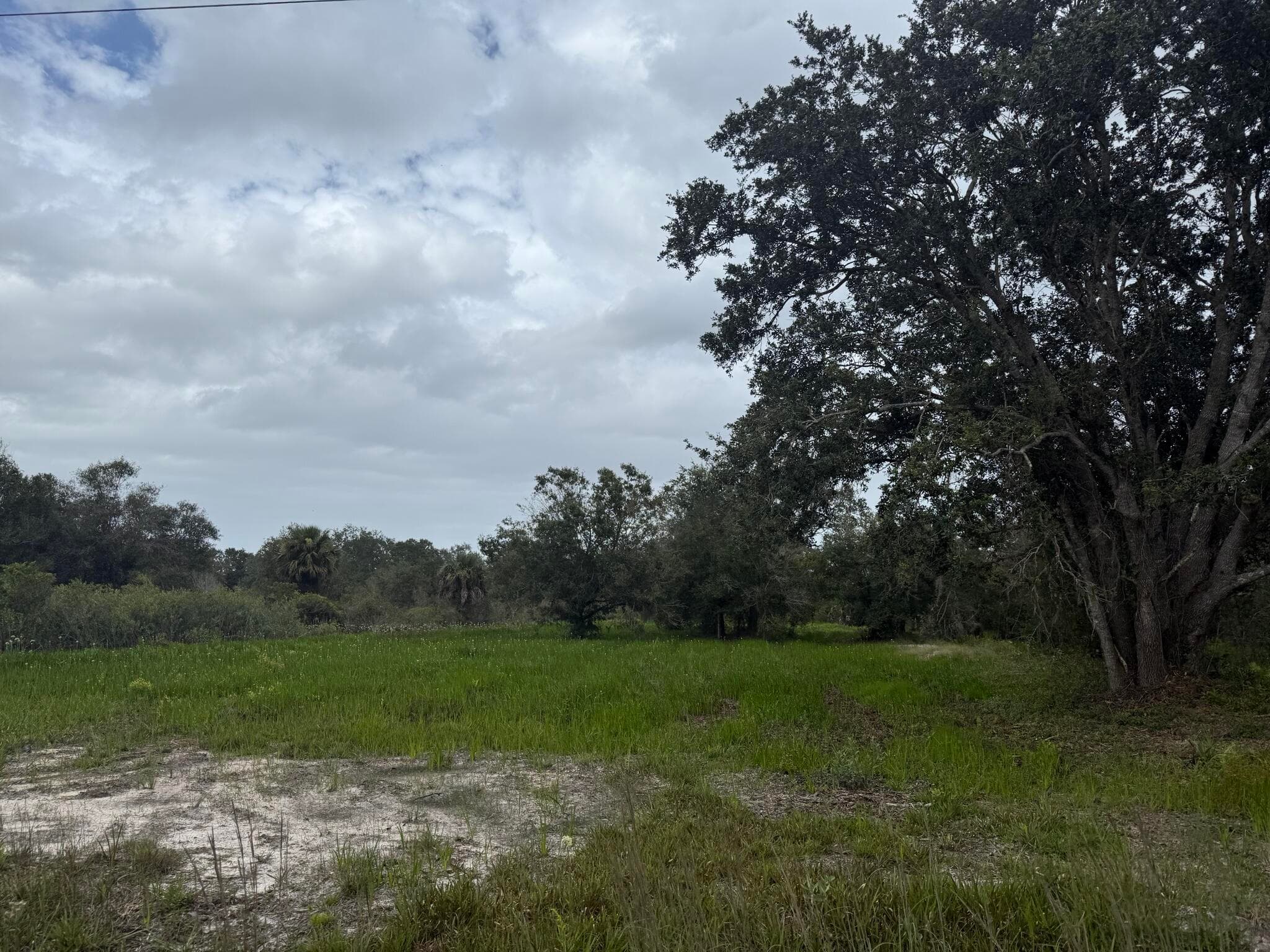 17915 NW 290th Street, Okeechobee, FL 34972 — photo 15 of 16