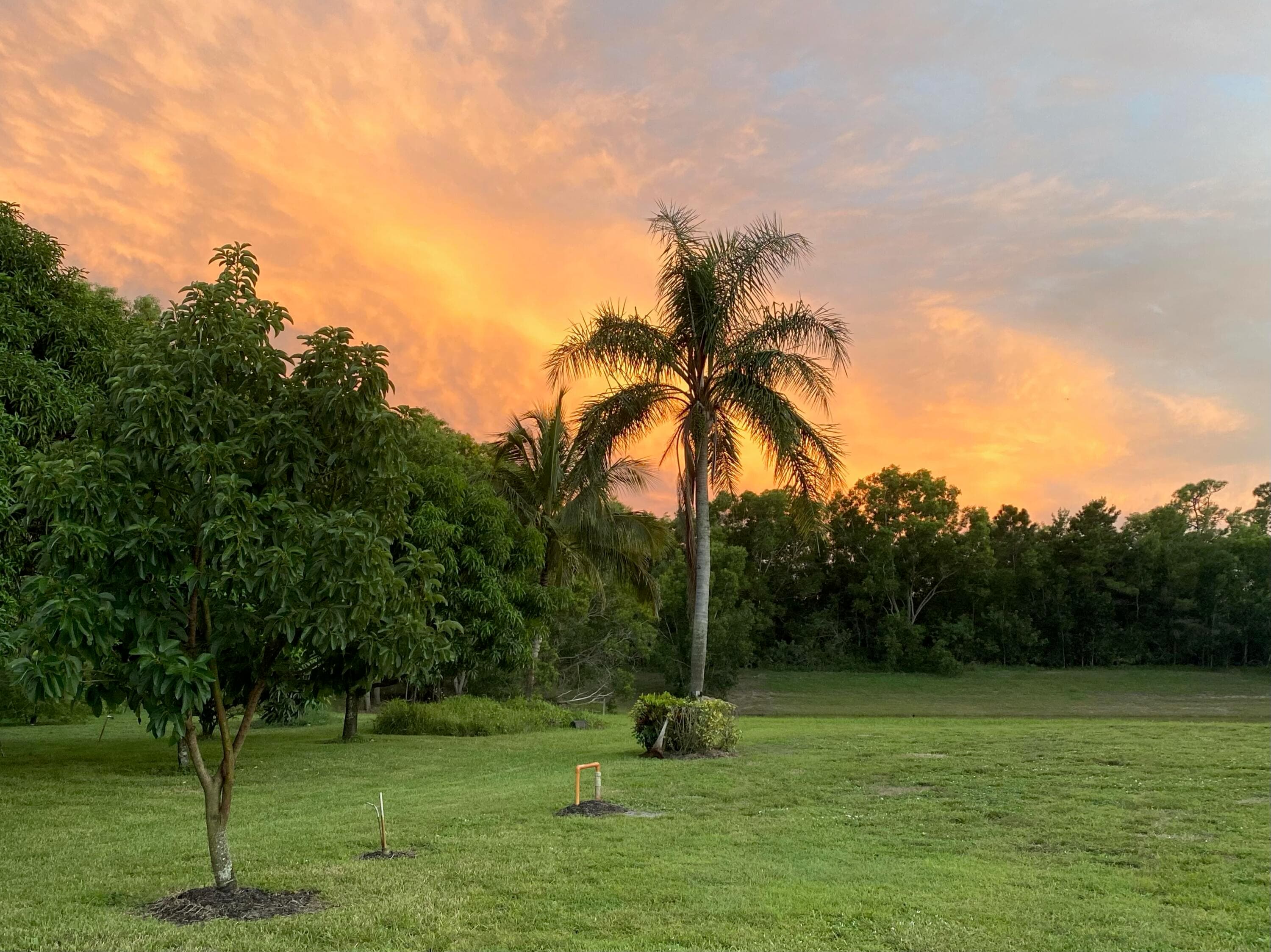 174 SE Osprey Ridge, Port St. Lucie, FL 34984 — photo 47 of 68