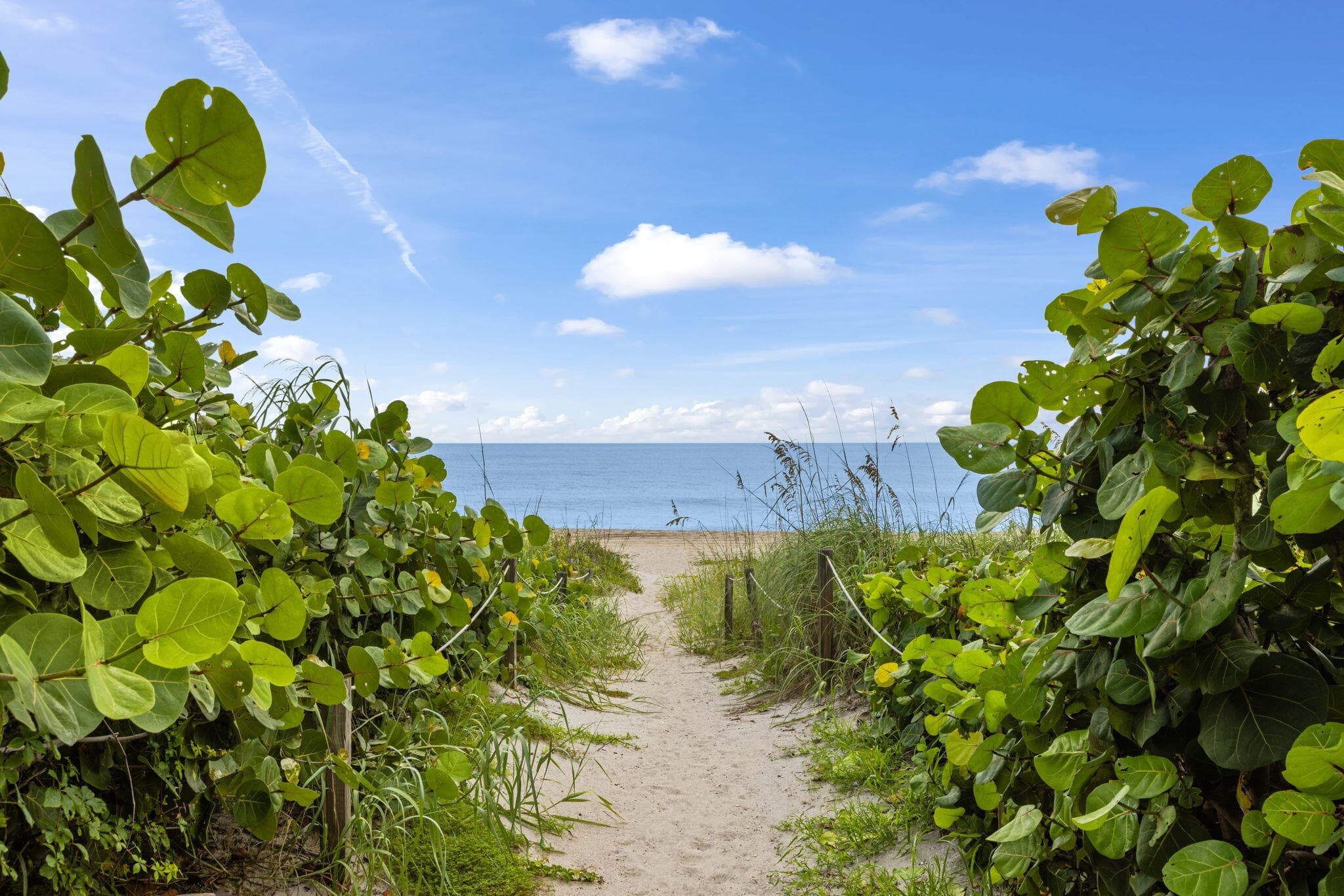2773 S Ocean Boulevard 517, Palm Beach, FL 33480 — photo 43 of 63