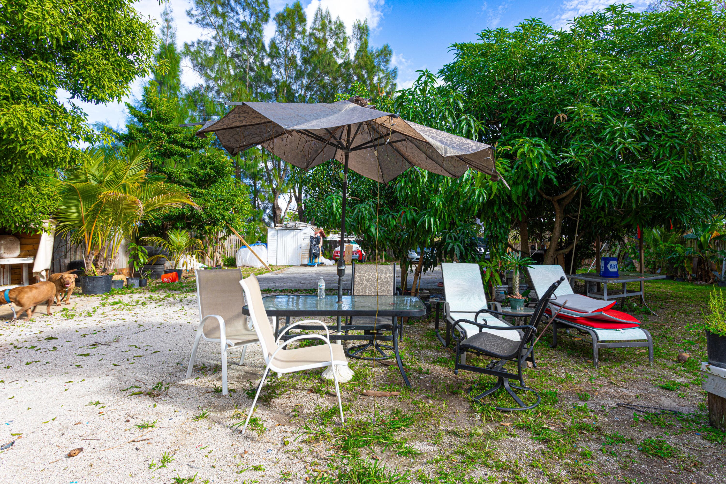 1501 NE 3rd Avenue, Delray Beach, FL 33444 — photo 28 of 35