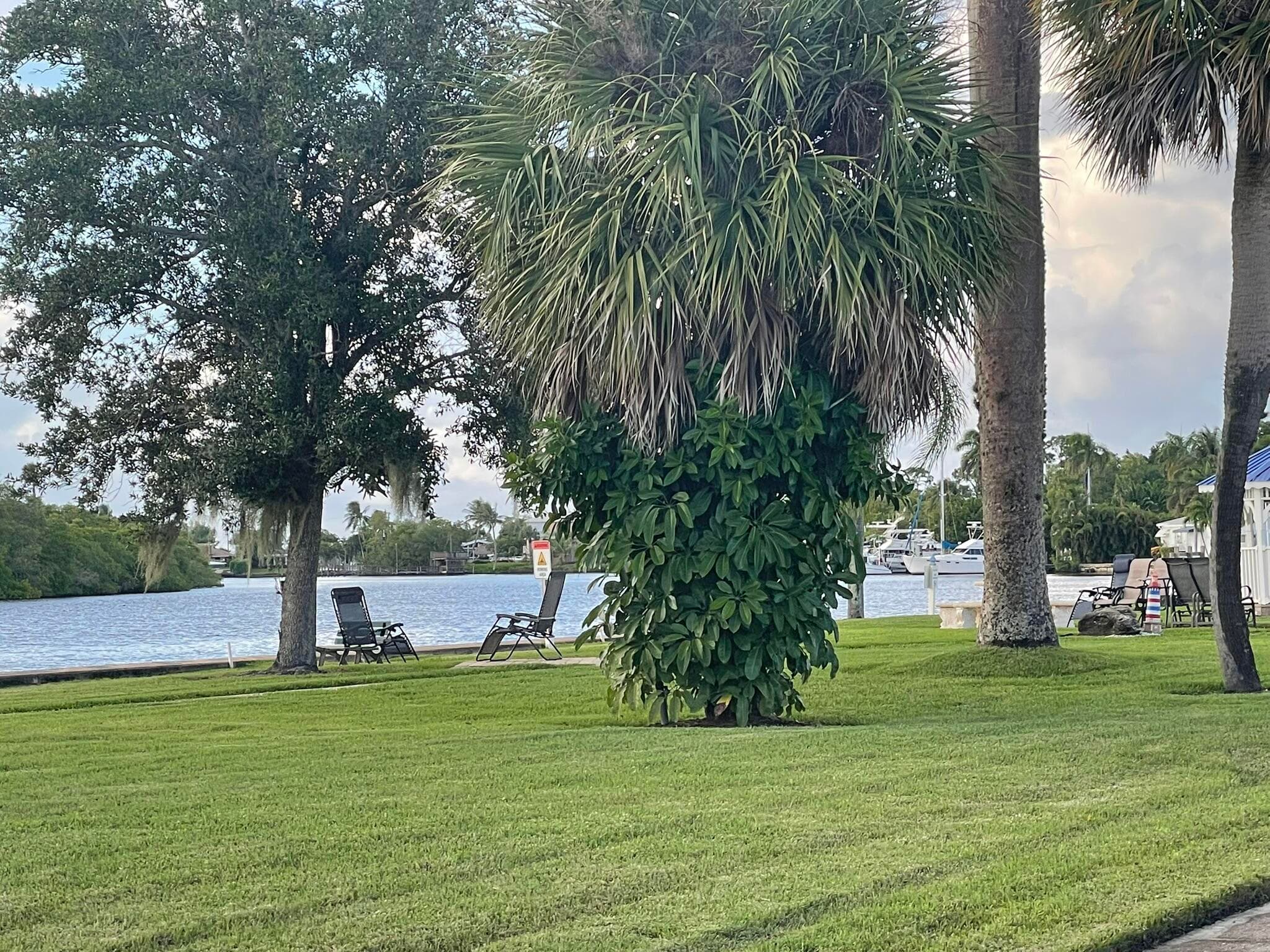 3500 S Kanner Highway 135, Stuart, FL 34994 — photo 5 of 12