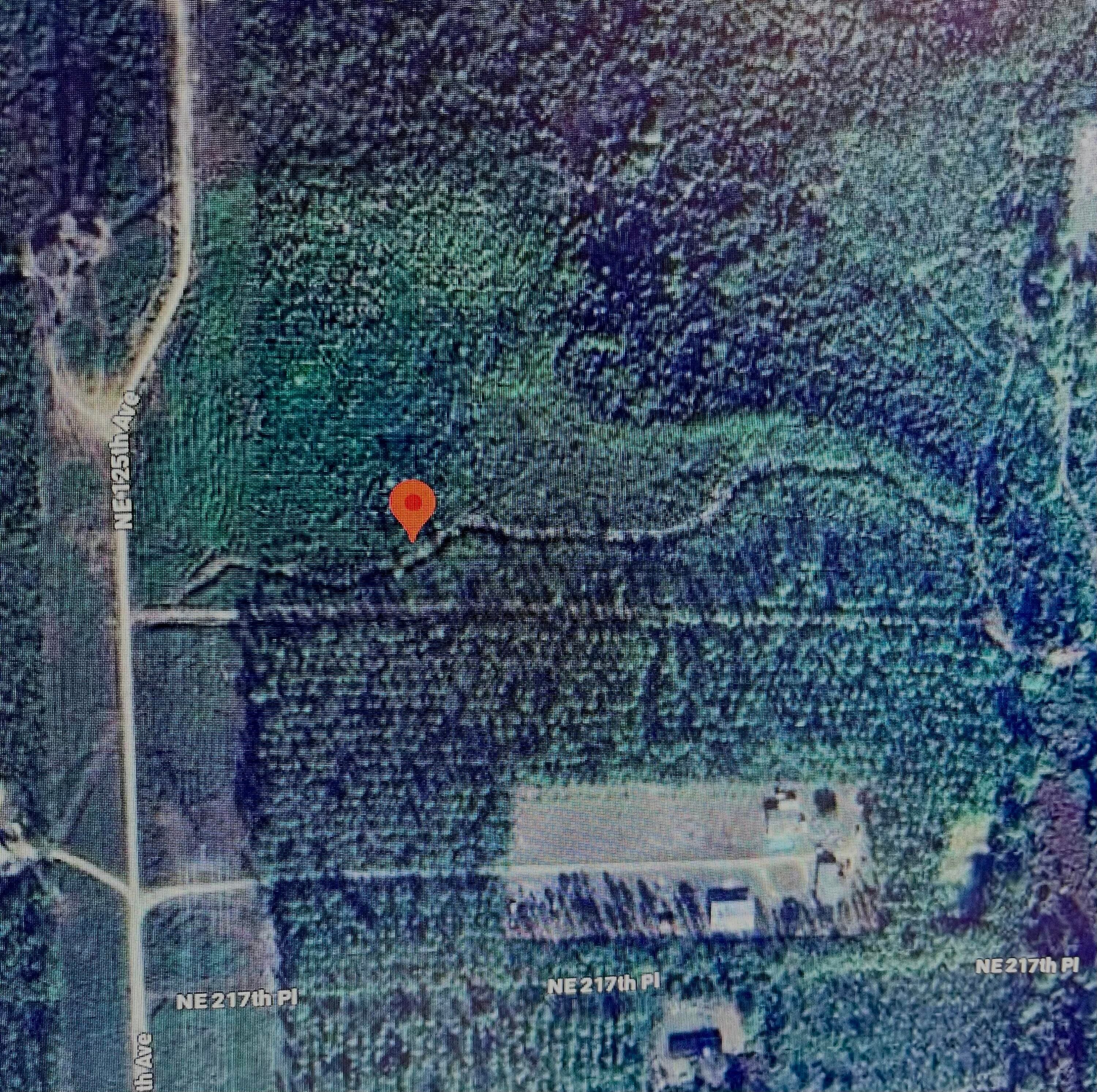 0000 Ne 125th Ave, Fort McCoy, FL 32134 — photo 8 of 8