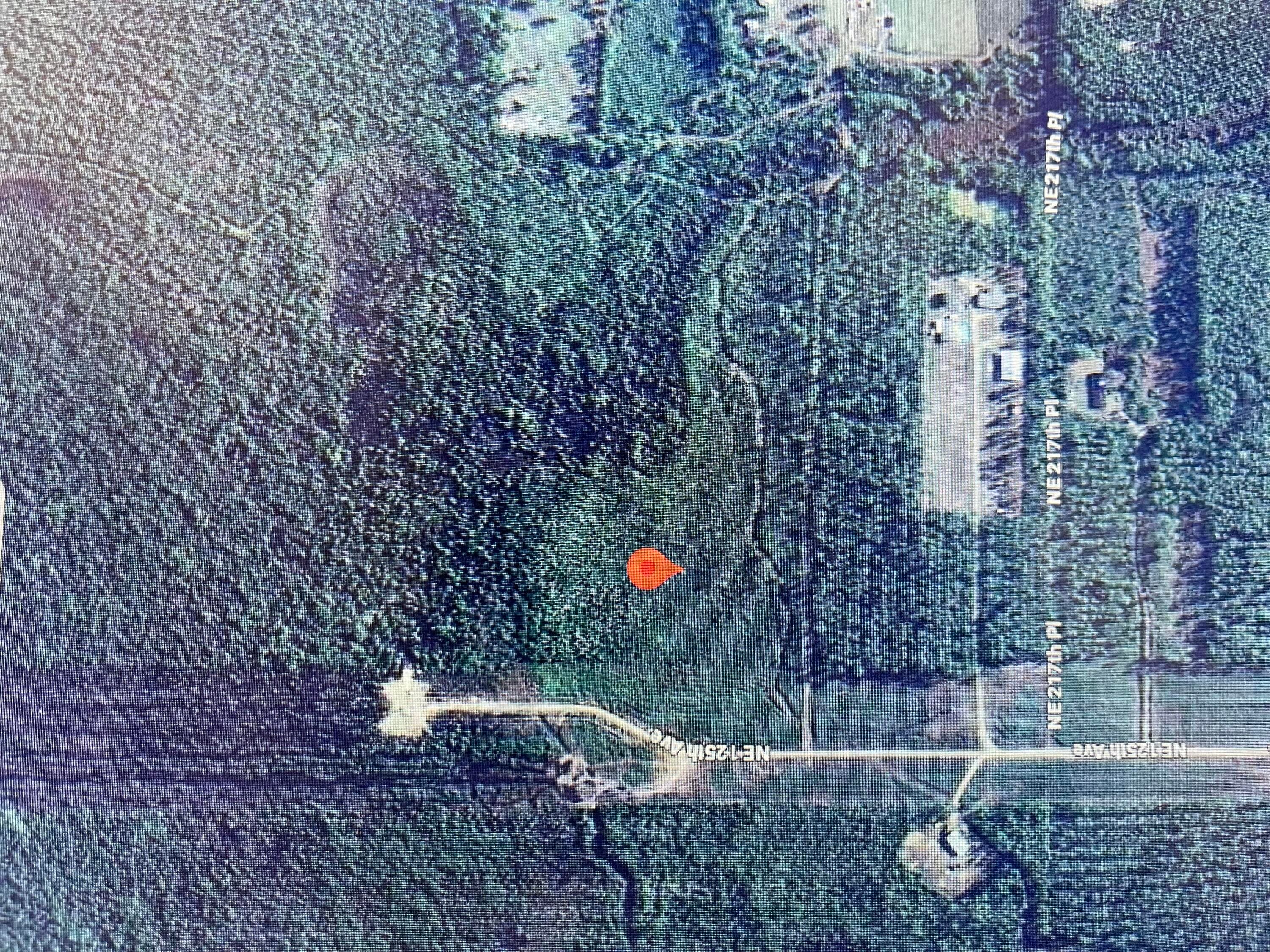 0000 Ne 125th Ave, Fort McCoy, FL 32134 — photo 5 of 5