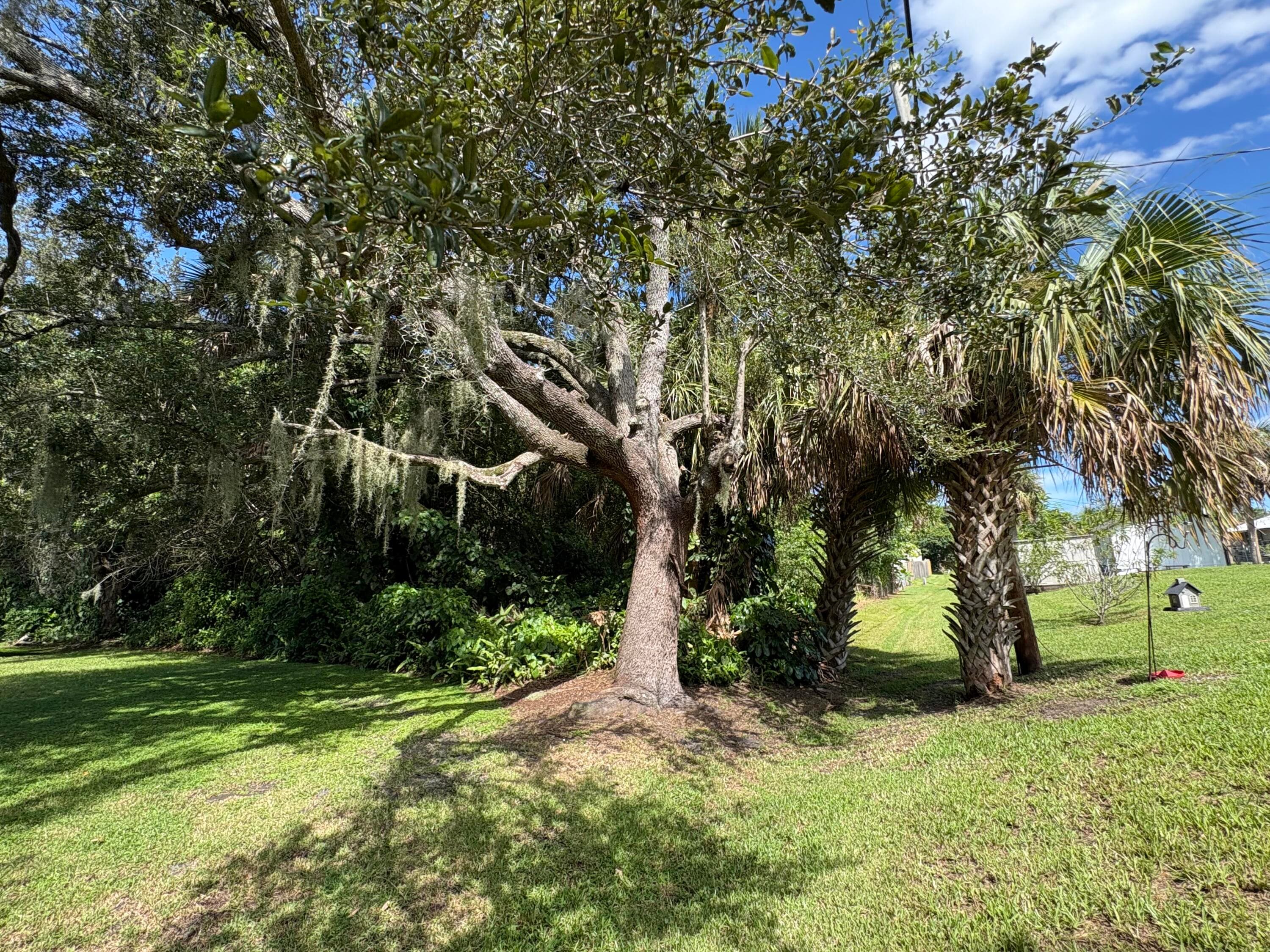 Tbd Santa Clara Boulevard, Port St. Lucie, FL 34951 — photo 4 of 8