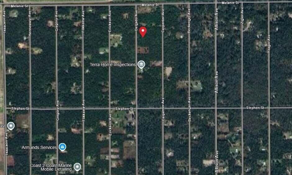 10040 Delgado Avenue, Hastings, FL 32145 — photo 3 of 5