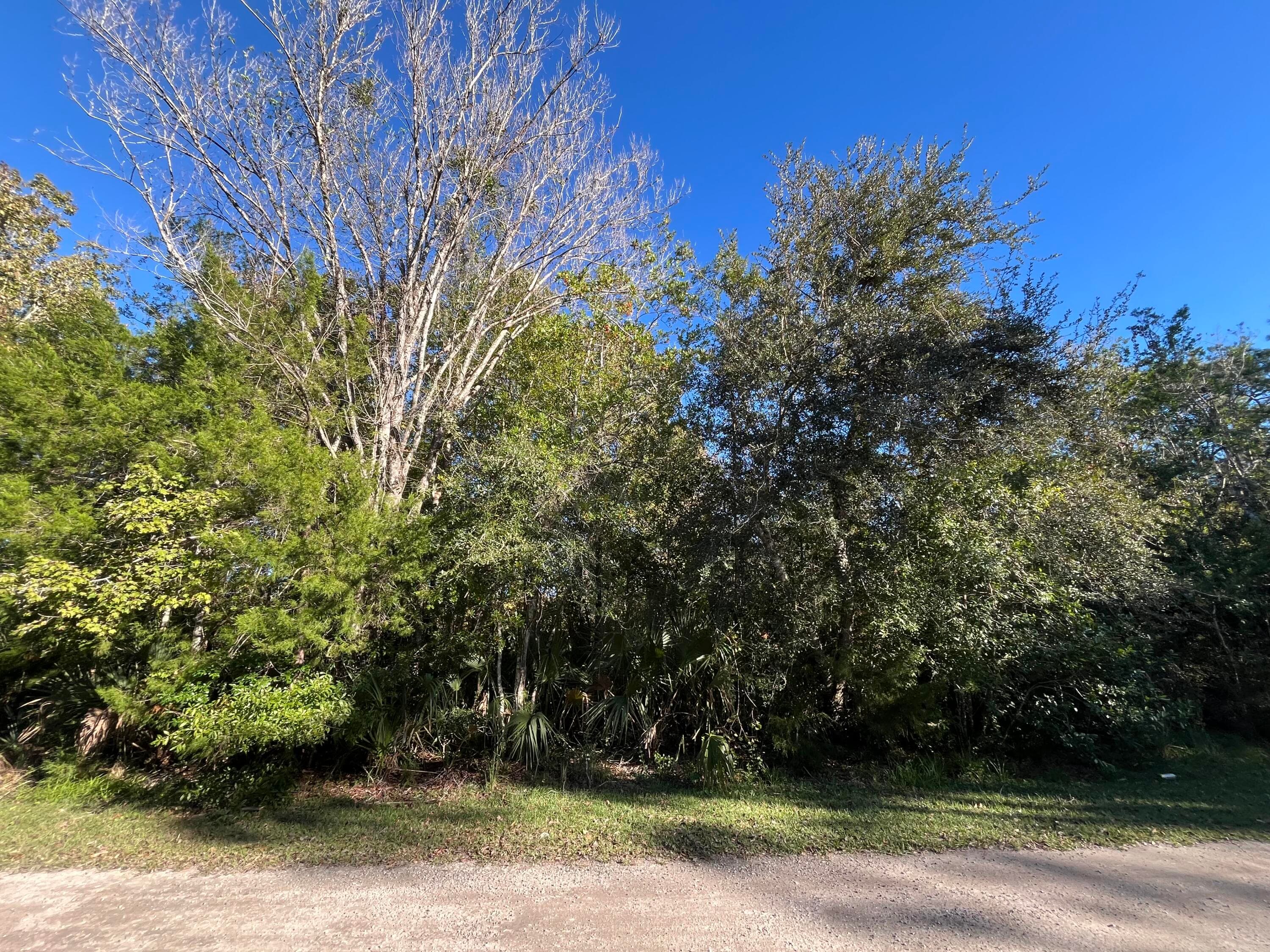 9667 S Lotus Point, Homosassa, FL 34448 — photo 4 of 5