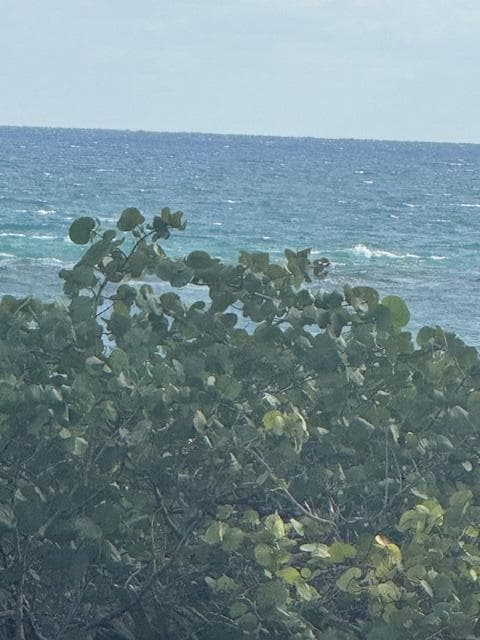 1180 S Ocean Boulevard 2e, Boca Raton, FL 33432 — photo 56 of 60