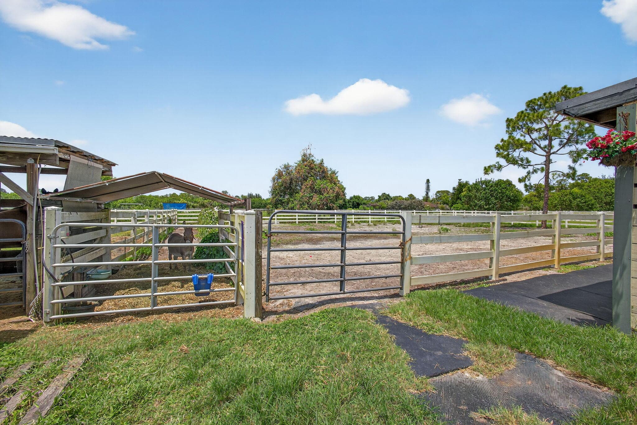 14095 Biddex Road, Loxahatchee Groves, FL 33470 — photo 16 of 60