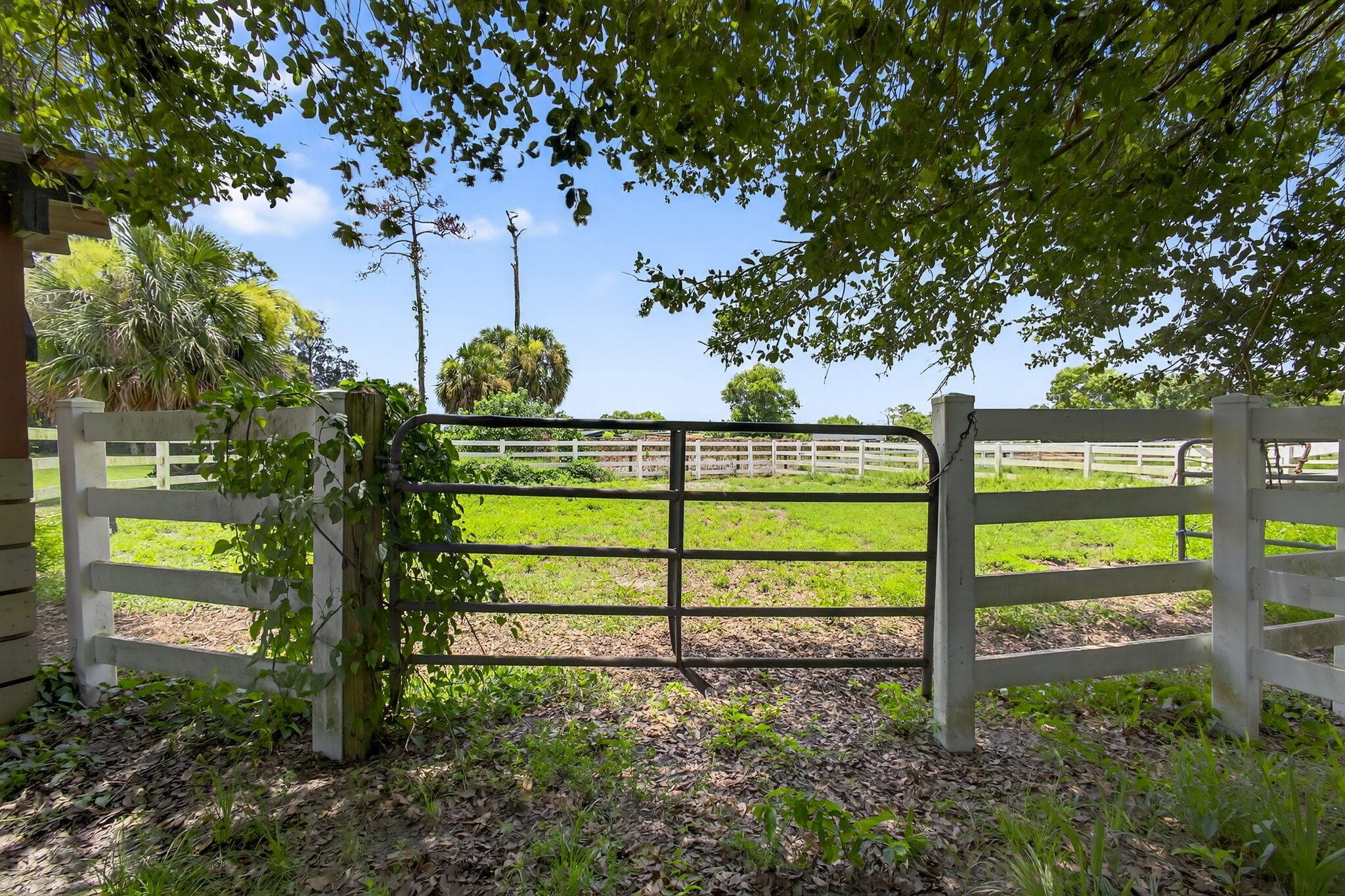 14095 Biddex Road, Loxahatchee Groves, FL 33470 — photo 18 of 60
